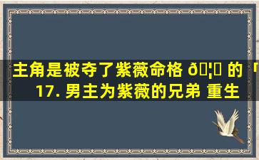 主角是被夺了紫薇命格 🦁 的「17. 男主为紫薇的兄弟 重生穿越成紫薇的……」